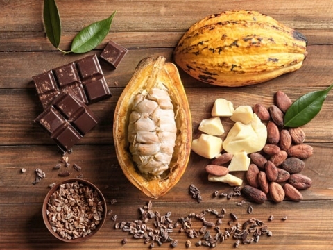 Các loại hạt